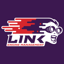 Cargar imagen en el visor de la galería, Centralita ECU LINK BMW MiniLink - MINIX